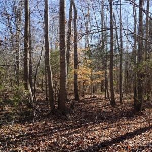 Photo #7 of 13+/-AC Ramah Church, York, SC