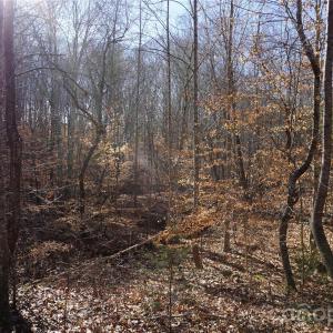 Photo #8 of 13+/-AC Ramah Church, York, SC