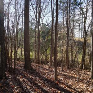 Photo #10 of 14+/-AC Canipe, York, SC
