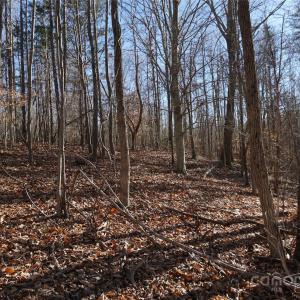 Photo #9 of 14+/-AC Canipe, York, SC