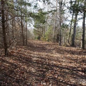 Photo #14 of 14+/-AC Canipe, York, SC