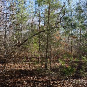 Photo #11 of 14+/-AC Canipe, York, SC