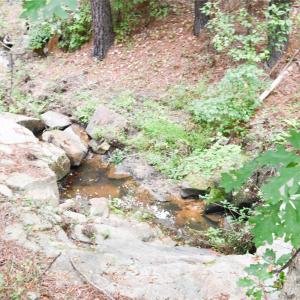 Photo #21 of 101 +/- AC Woods Ferry, Carlisle, SC