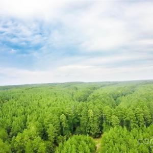 Photo #14 of 101 +/- AC Woods Ferry, Carlisle, SC