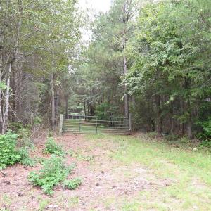 Photo #27 of 101 +/- AC Woods Ferry, Carlisle, SC