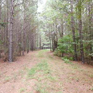 Photo #22 of 101 +/- AC Woods Ferry, Carlisle, SC