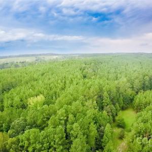 Photo #13 of 101 +/- AC Woods Ferry, Carlisle, SC