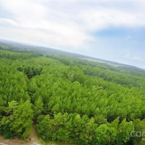 Photo #5 of 101 +/- AC Woods Ferry, Carlisle, SC
