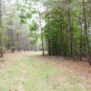 Photo #19 of 101 +/- AC Woods Ferry, Carlisle, SC