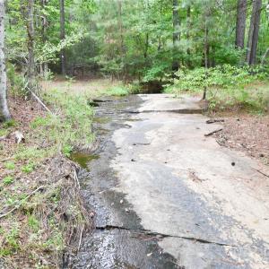 Photo #20 of 101 +/- AC Woods Ferry, Carlisle, SC