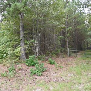 Photo #28 of 101 +/- AC Woods Ferry, Carlisle, SC