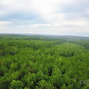 Photo #29 of 101 +/- AC Woods Ferry, Carlisle, SC