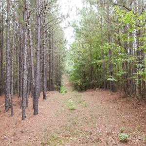 Photo #24 of 101 +/- AC Woods Ferry, Carlisle, SC
