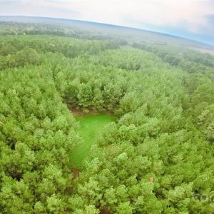 Photo #11 of 101 +/- AC Woods Ferry, Carlisle, SC