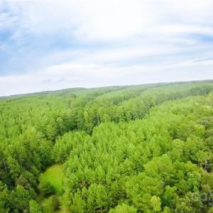 Photo #12 of 101 +/- AC Woods Ferry, Carlisle, SC