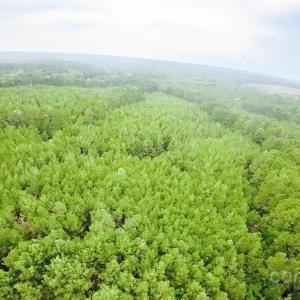 Photo #3 of 101 +/- AC Woods Ferry, Carlisle, SC