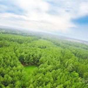 Photo #6 of 101 +/- AC Woods Ferry, Carlisle, SC