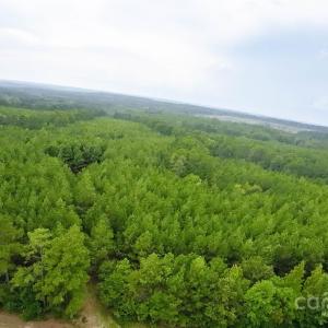 Photo #4 of 101 +/- AC Woods Ferry, Carlisle, SC