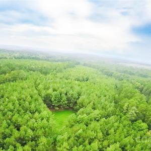 Photo #7 of 101 +/- AC Woods Ferry, Carlisle, SC
