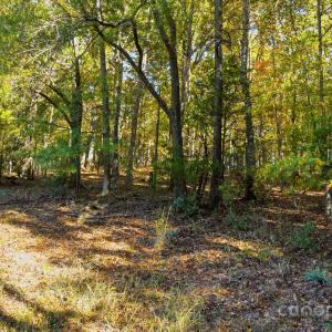Photo #16 of 24990 Birdhouse, Locust, NC