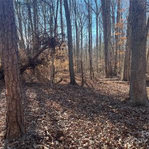 Photo #12 of 15.009 Acres Archer, Davidson, NC