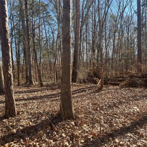 Photo #13 of 15.009 Acres Archer, Davidson, NC