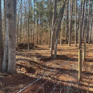 Photo #10 of 15.009 Acres Archer, Davidson, NC