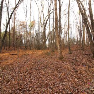 Photo #4 of 3+/-AC Pioneer, York, SC