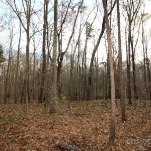 Photo #5 of 3+/-AC Pioneer, York, SC