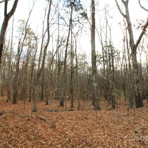Photo #3 of 3+/-AC Pioneer, York, SC