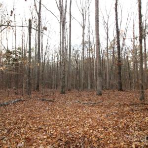 Photo #2 of 3+/-AC Pioneer, York, SC