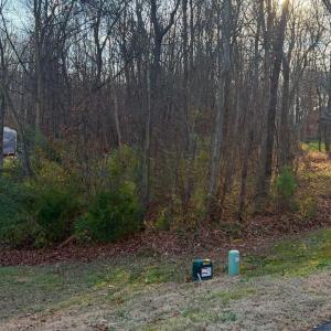 Photo #1 of 2010 Parrothead, Monroe, NC