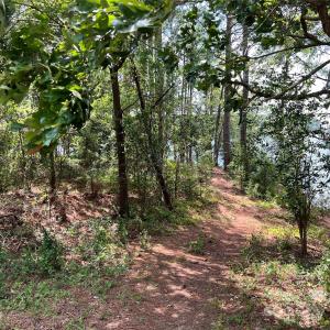 Photo #19 of Lot 7 & 8 SC Hwy 215, Fairfield, SC