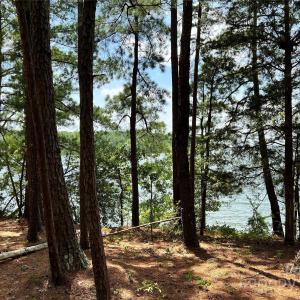 Photo #21 of Lot 7 & 8 SC Hwy 215, Fairfield, SC