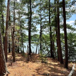 Photo #23 of Lot 7 & 8 SC Hwy 215, Fairfield, SC