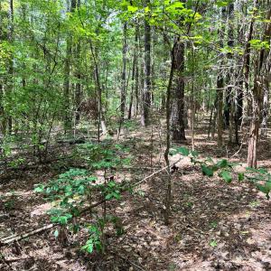 Photo #17 of Lot 7 & 8 SC Hwy 215, Fairfield, SC