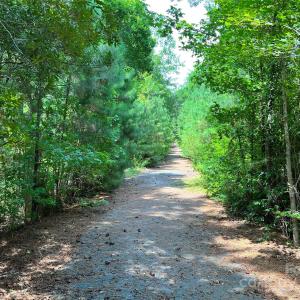 Photo #10 of Lot 7 & 8 SC Hwy 215, Fairfield, SC