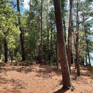 Photo #22 of Lot 7 & 8 SC Hwy 215, Fairfield, SC
