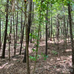 Photo #11 of Lot 7 & 8 SC Hwy 215, Fairfield, SC