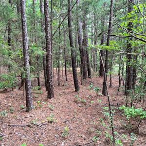 Photo #15 of Lot 7 & 8 SC Hwy 215, Fairfield, SC