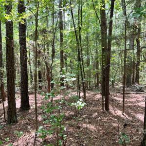 Photo #12 of Lot 7 & 8 SC Hwy 215, Fairfield, SC