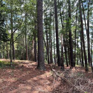 Photo #20 of Lot 7 & 8 SC Hwy 215, Fairfield, SC