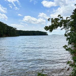 Photo #6 of Lot 7 & 8 SC Hwy 215, Fairfield, SC