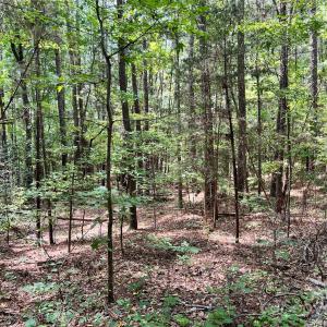 Photo #13 of Lot 7 & 8 SC Hwy 215, Fairfield, SC