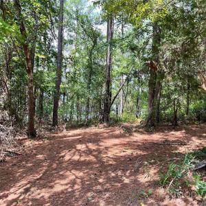 Photo #18 of Lot 7 & 8 SC Hwy 215, Fairfield, SC