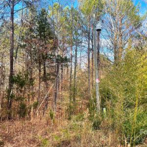 Photo #19 of Lot #7 Winnie Hole, Richburg, SC