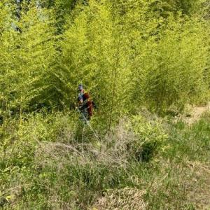 Photo #15 of Lot #7 Winnie Hole, Richburg, SC