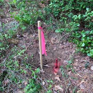 Photo #16 of Lot #7 Winnie Hole, Richburg, SC