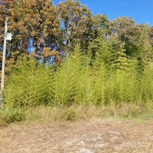 Photo #3 of Lot #7 Winnie Hole, Richburg, SC