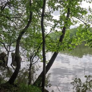 Photo #6 of 3111 Catawba, Great Falls, SC